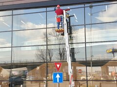 Toaletare si defrisare arbori